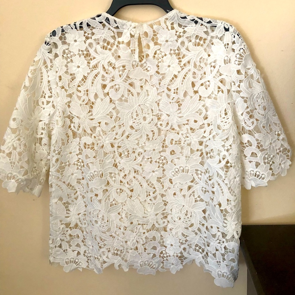 Zara Crochet lace crop top
